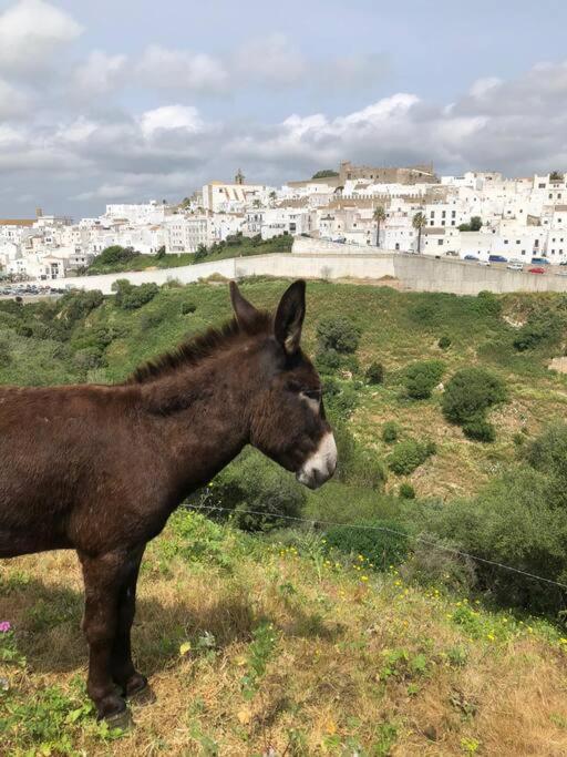Casita Tacande - Una Bonita Casita Situada En El Casco Antiguo De Vejer De La Frontera Eksteriør billede